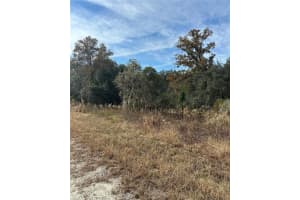 Lot 26 133RD AVENUE, DUNNELLON, FL 34434 - MLS#MFRTB8450500