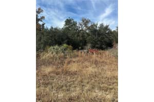 Lot 26 133RD AVENUE, DUNNELLON, FL 34434 - MLS#MFRTB8450500