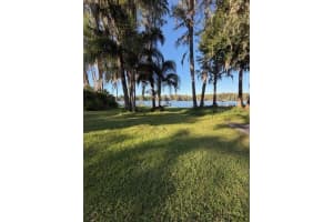 5211 WILCOX ROAD, TAMPA, FL 33624 - MLS#MFRTB8450502