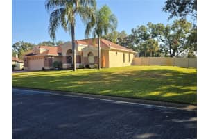 1030 ROWLAND PICKERT LANE, LUTZ, FL 33548 - MLS#MFRTB8450545