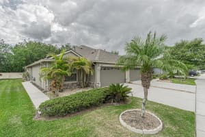 31912 TURKEYHILL DRIVE, WESLEY CHAPEL, FL 33543 - MLS#MFRTB8450547