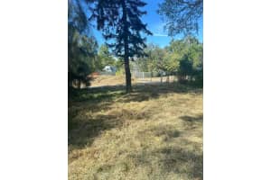 4637 COTTONWOOD DRIVE, NEW PORT RICHEY, FL 34652 - MLS#MFRTB8450565