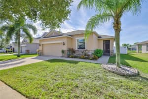 507 POWDER VIEW DRIVE, RUSKIN, FL 33570 - MLS#MFRTB8450567