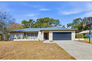 12705 Allendale Ln, TAMPA