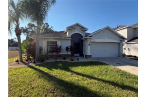 10214 SUMMER AZURE DRIVE, RIVERVIEW, FL 33578 - MLS#MFRTB8450570