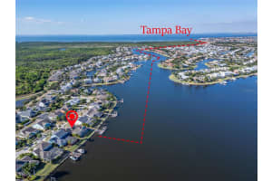 5245 BRIGHTON SHORE DRIVE, APOLLO BEACH, FL 33572 - MLS#MFRTB8450653