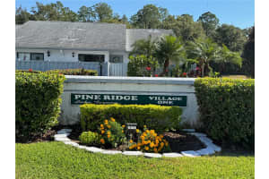 1372 PINE RIDGE CIRCLE, TARPON SPRINGS, FL 34688 - MLS#MFRTB8450654