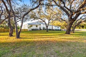 9871 LAKEVIEW DRIVE, NEW PORT RICHEY, FL 34654 - MLS#MFRTB8450655