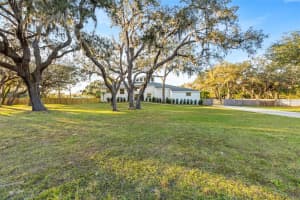 9871 LAKEVIEW DRIVE, NEW PORT RICHEY, FL 34654 - MLS#MFRTB8450655