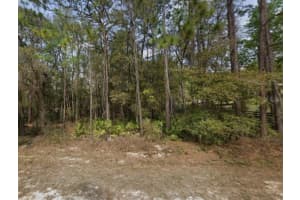 SW 45TH LN, OCALA, FL 34481 Sold 12/10/25