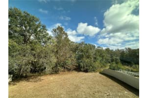 13302 MARBLE SANDS COURT, HUDSON, FL 34669 - MLS#MFRTB8450664