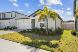 13719 BROOKSIDE HAVEN STREET, RIVERVIEW, FL 33578 - MLS#MFRTB8450666