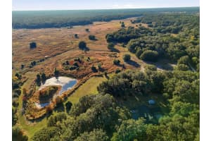 10524 75TH WAY, GAINESVILLE, FL 32608 - MLS#MFRTB8450677