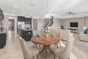 11954 CINNAMON FERN DRIVE, RIVERVIEW, FL 33579 - MLS#MFRTB8450678