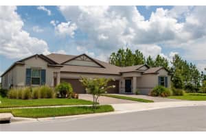 10125 CAMPANULA COURT, LAND O LAKES, FL 34637 - MLS#MFRTB8450681