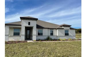 10064 DOLPHIN GULL CIRCLE, THONOTOSASSA, FL 33592 - MLS#MFRTB8450702
