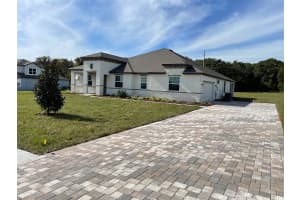 10064 DOLPHIN GULL CIRCLE, THONOTOSASSA, FL 33592 - MLS#MFRTB8450702