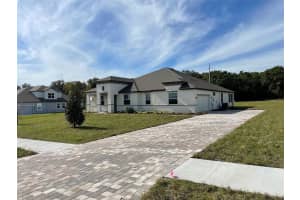 10064 DOLPHIN GULL CIRCLE, THONOTOSASSA, FL 33592 - MLS#MFRTB8450702
