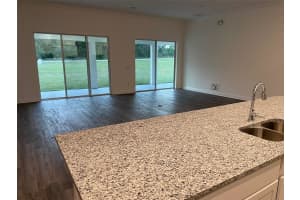 10064 DOLPHIN GULL CIRCLE, THONOTOSASSA, FL 33592 - MLS#MFRTB8450702