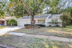 1128 LANYARD STREET, PALM HARBOR, FL 34685 - MLS#MFRTB8450723