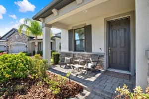 19323 HAWK VALLEY DRIVE, TAMPA, FL 33647 - MLS#MFRTB8450748