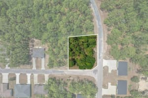 9410 PEACHTREE WAY, CITRUS SPRINGS, FL 34434 - MLS#MFRTB8450769