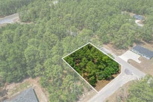 9410 PEACHTREE WAY, CITRUS SPRINGS, FL 34434 - MLS#MFRTB8450769