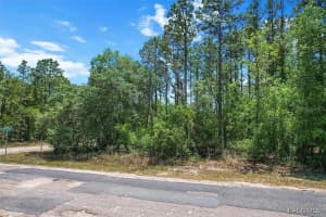 9410 PEACHTREE WAY, CITRUS SPRINGS, FL 34434 - MLS#MFRTB8450769