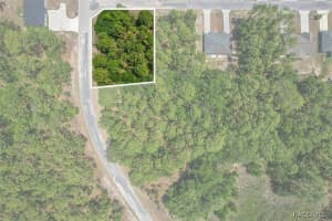 9410 PEACHTREE WAY, CITRUS SPRINGS, FL 34434 - MLS#MFRTB8450769