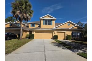 20403 Harvest Oak Ct, TAMPA