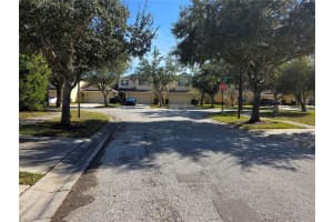 20403 HARVEST OAK COURT, TAMPA, FL 33647 - MLS#MFRTB8450796