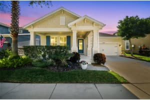 14309 Azalea Pond Ct, LITHIA 14309 Azalea Pond Ct, LITHIA