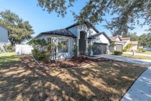 11102 LAKESIDE VISTA DRIVE, RIVERVIEW, FL 33569 - MLS#MFRTB8450811
