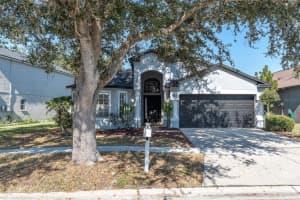 11102 LAKESIDE VISTA DRIVE, RIVERVIEW, FL 33569 - MLS#MFRTB8450811