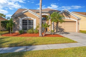 10618 CAMI COURT, RIVERVIEW, FL 33578 - MLS#MFRTB8450814
