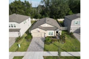 11996 HILLTOP FARMS DRIVE, DADE CITY, FL 33525 - MLS#MFRTB8450825