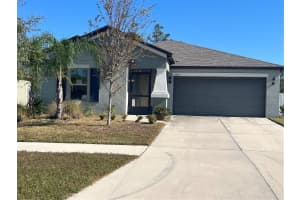 13403 WILLOW BLUESTAR LOOP, RIVERVIEW, FL 33579 - MLS#MFRTB8450839