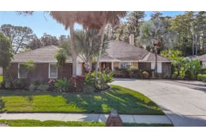 3328 Westmoreland Dr, TAMPA