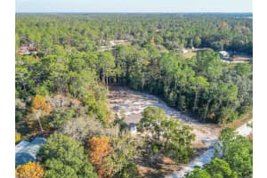2291 140 AVENUE, MORRISTON, FL 32668 - MLS#MFRTB8450842