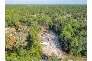 2291 140 AVENUE, MORRISTON, FL 32668 - MLS#MFRTB8450842