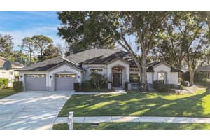 15818 Fairchild Dr, TAMPA