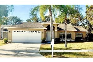 18917 PARADE ROAD, HUDSON, FL 34667 - MLS#MFRTB8450912