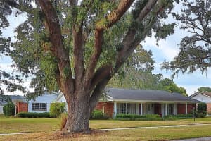 10502 LAKE CARROLL WAY, TAMPA, FL 33618 - MLS#MFRTB8450930