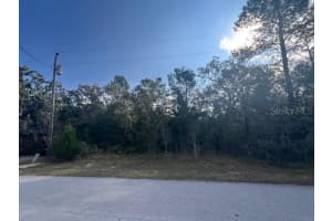 3328 HORSESHOE LN, SPRING HILL, FL 34606 - MLS#MFRTB8450947