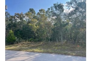 3328 HORSESHOE LN, SPRING HILL, FL 34606 - MLS#MFRTB8450947