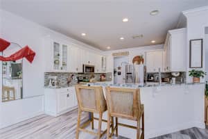 10448 RIVER BREAM DRIVE, RIVERVIEW, FL 33569 - MLS#MFRTB8450957