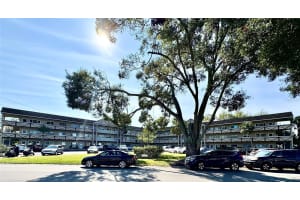 2463 BRAZILIA DRIVE, CLEARWATER, FL 33763 - MLS#MFRTB8451017