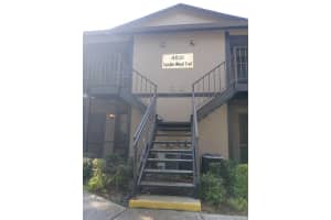 4031 Tumble Wood Trl #204, TAMPA