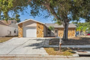 11321 Blackbark Dr, RIVERVIEW 11321 Blackbark Dr, RIVERVIEW