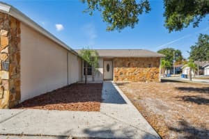 11321 BLACKBARK DRIVE, RIVERVIEW, FL 33579 - MLS#MFRTB8451051